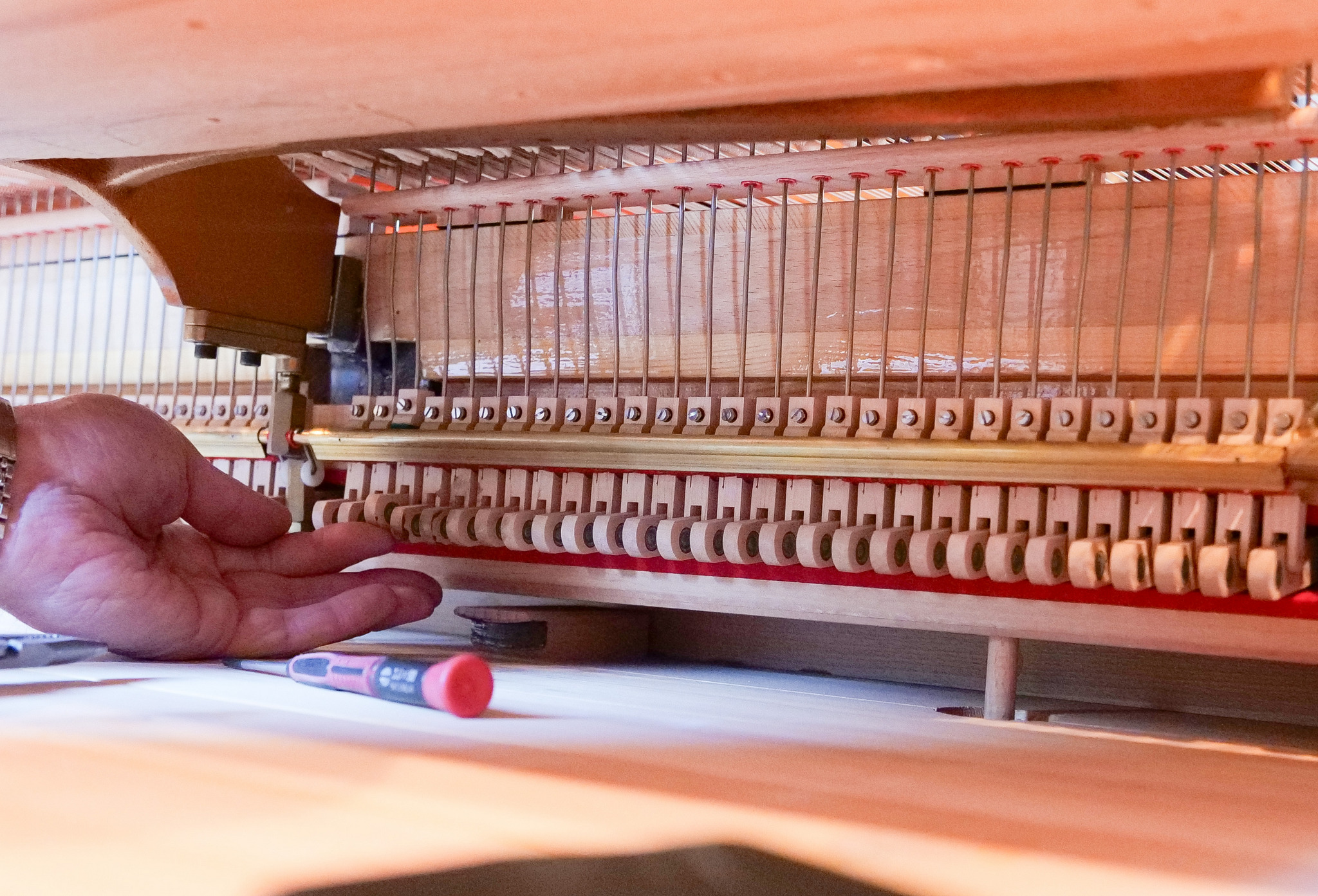 Detail during servicing